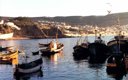 Portuguese Fishing Fleet