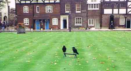Crows Now Live Where Anne Boleyn Died